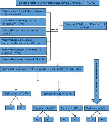 Predicting Distant Metastasis in Young-Onset Colorectal Cancer After Surgery: A Retrospective Study